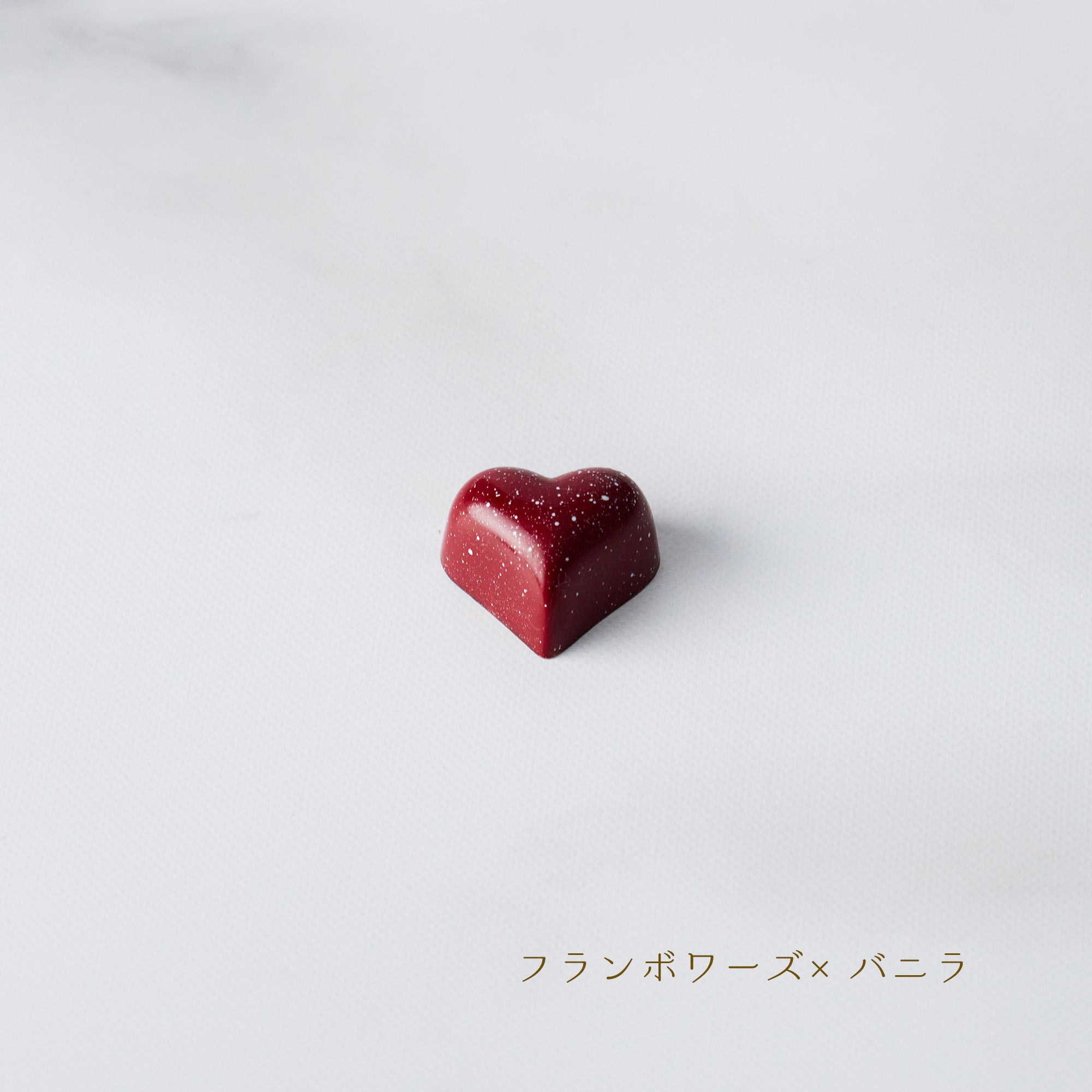 ボンボンショコラ10個入り