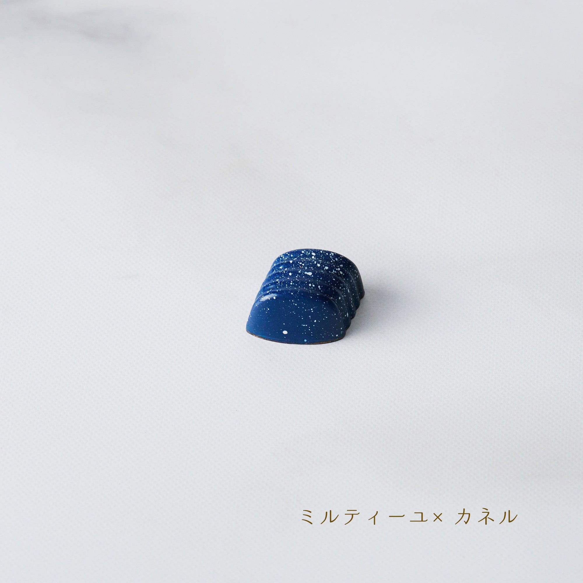 ボンボンショコラ10個入り