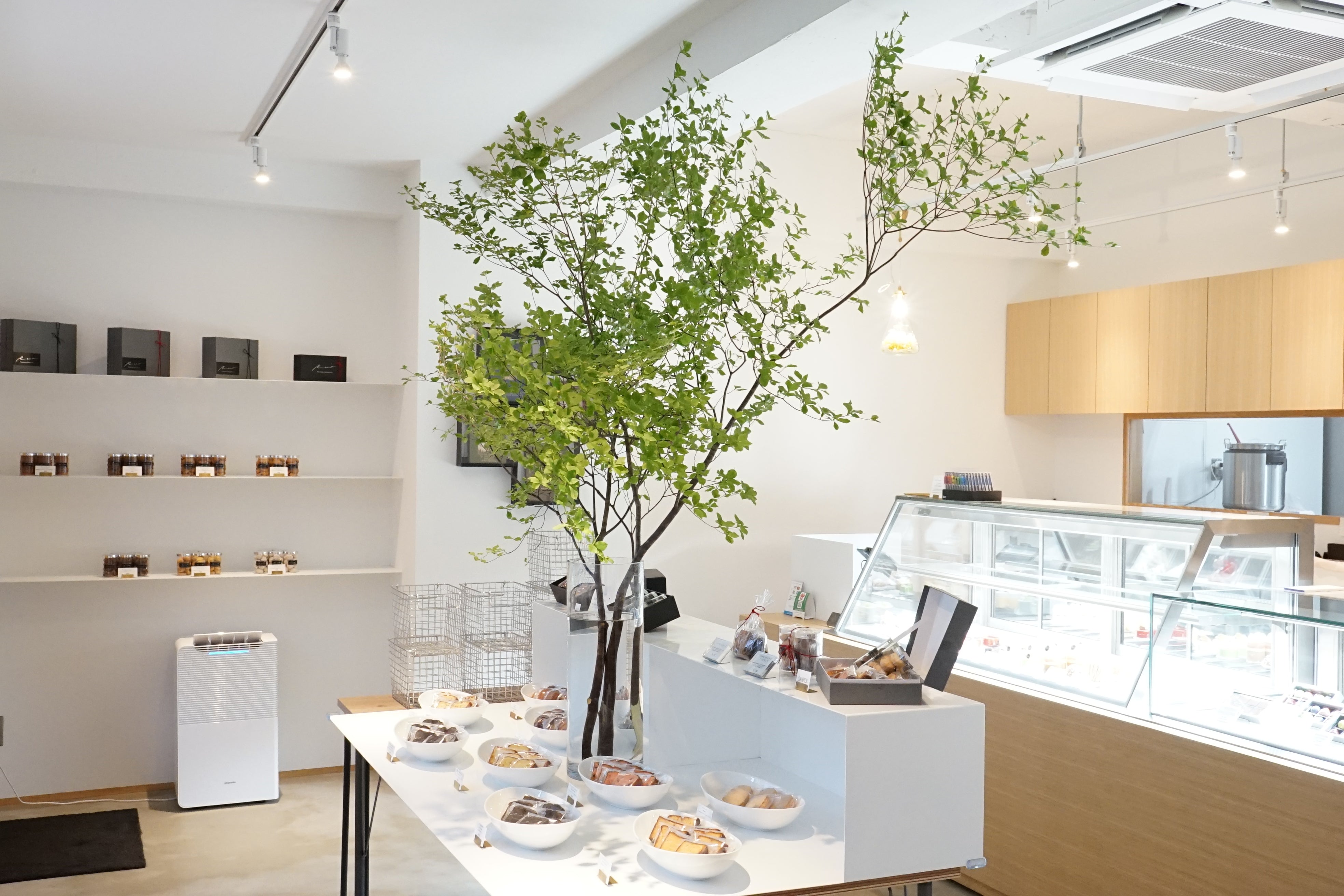 店舗の紹介